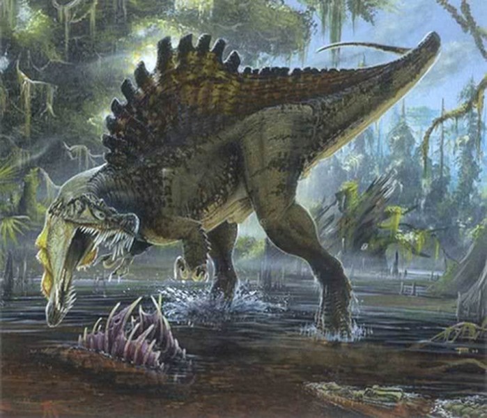 Spinosaurus: Spinosaurus là loài khủng long ăn thịt lớn nhất từng xuất hiện.  Sinh vật khổng lồ bậc nhất thời tiền sử này sở hữu chiều dài thân lên tới 15m, trọng lượng cơ thể vượt mức 18 tấn. Chúng thuộc loài sống bán thủy sinh ở kỷ phấn trắng.